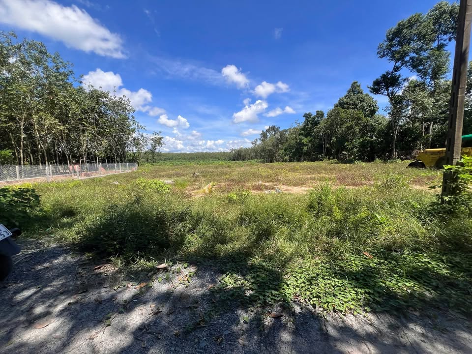 Đất nền Hảo Đước, Châu Thành 140m² giá chỉ 165 triệu - Đầu tư sinh lời ngay!