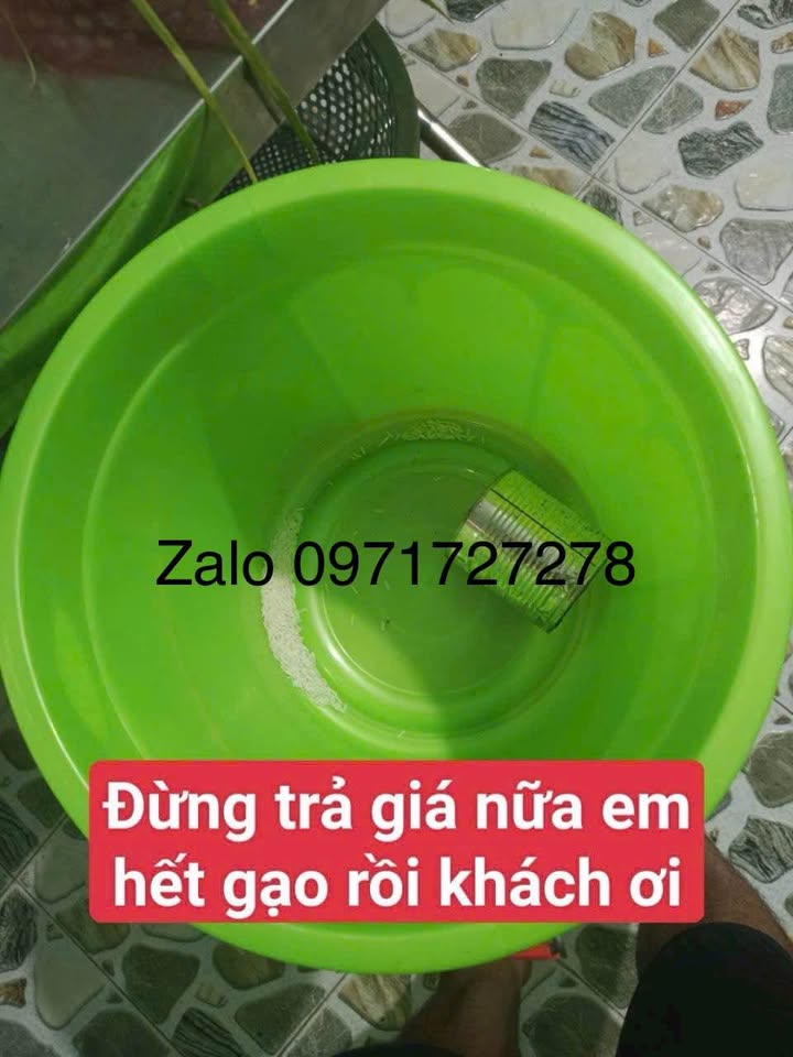 Đất ruộng 2000m² khu phố Bốn, phường Tân Định chỉ 2 tỷ - Cơ hội đầu tư hấp dẫn!