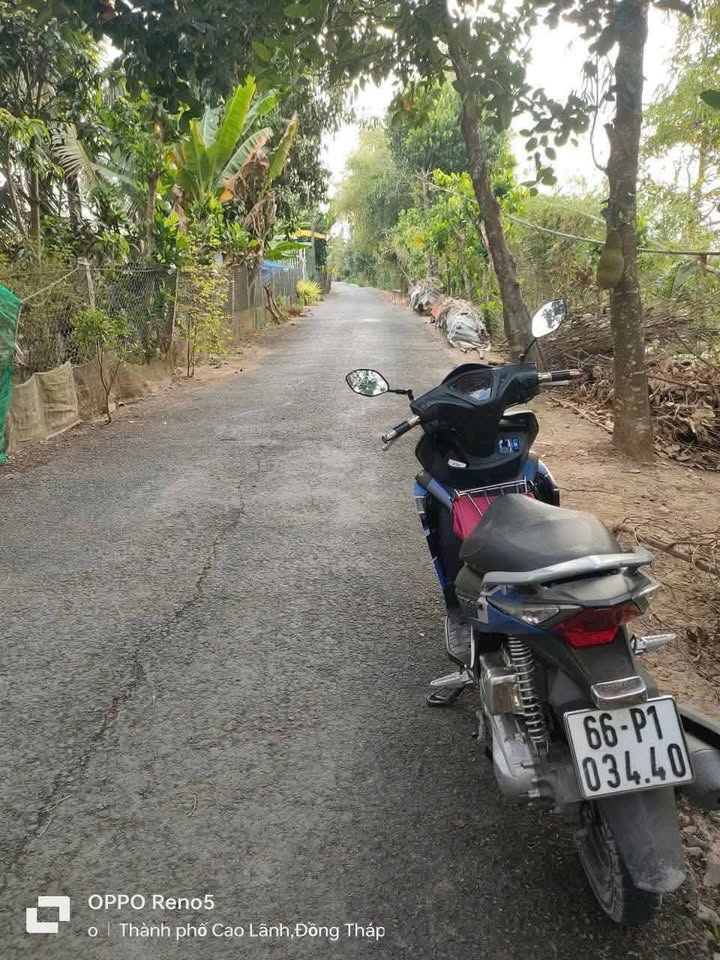 Đất chữ L 6000m² tại Mỹ Trà, Đồng Tháp chỉ 2.25 tỷ - Cơ hội đầu tư hấp dẫn!