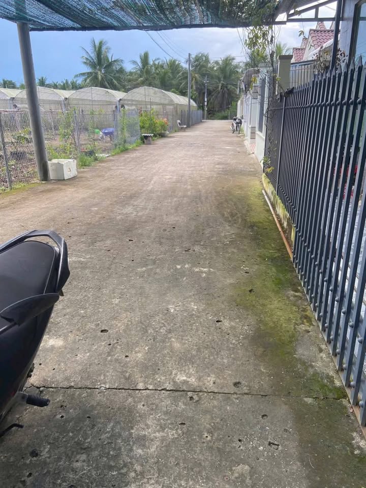 Nhà 245m² tại Hẻm Kho Bia, Bến Tre giá 1.6 tỷ - Sẵn sàng vào ở ngay!