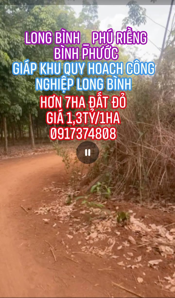 Đất nền Long Bình Phú Riềng 7ha giá 13 tỷ - Sổ đỏ chính chủ, tiềm năng phát triển!