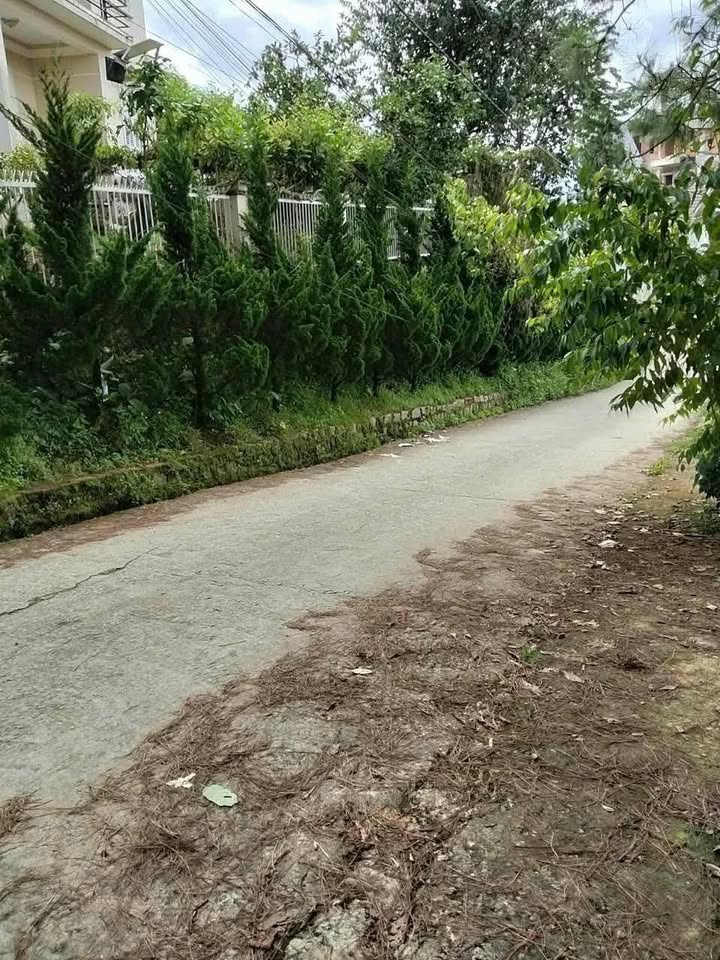 Đất nền Nguyễn Hữu Cảnh Đà Lạt 257m² giá 7.9 tỷ - Đầu tư sinh lời ngay!