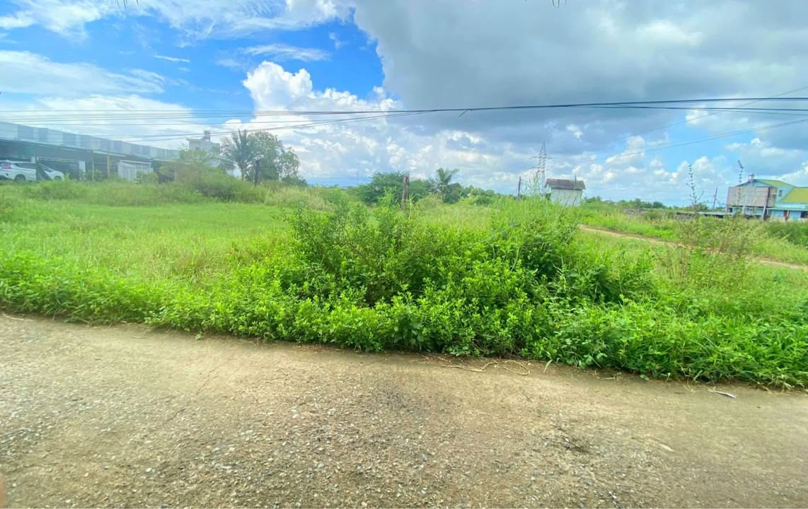 Đất thổ cư 1000m² tại khu cá đồng Hàm Thắng - Giá chỉ 4.6 tỷ!