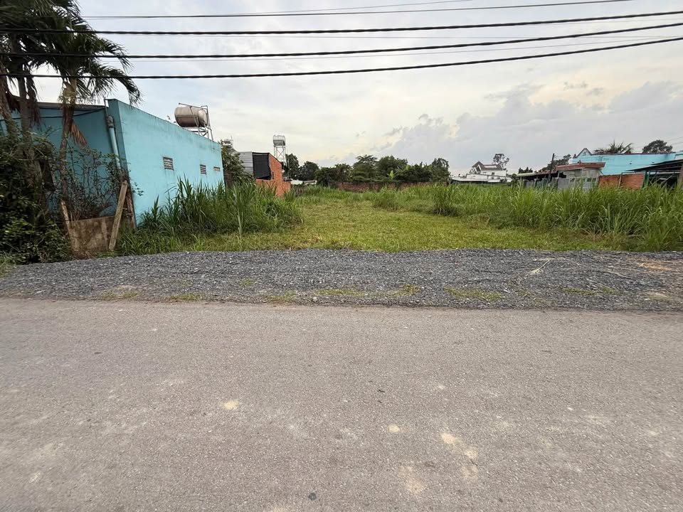 Đất nền đẹp tại Tân Thông Hội, Củ Chi 105m² giá 2.3 tỷ - Sổ đỏ chính chủ!