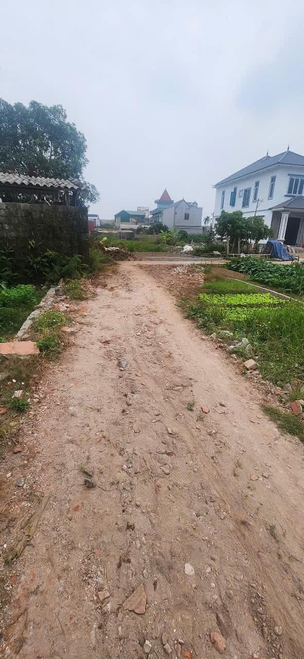 Đất nền Hồng Vân, Thường Tín 48.9m² giá chỉ 2 tỷ - Gần vành đai 4, cầu Mễ Sở!