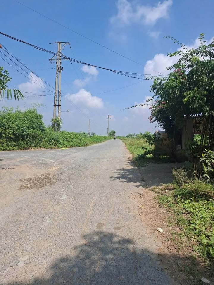 Đất nền Tề Lễ Tam Nông 294m² - Lô góc 2 mặt tiền, đầu tư sinh lời ngay!