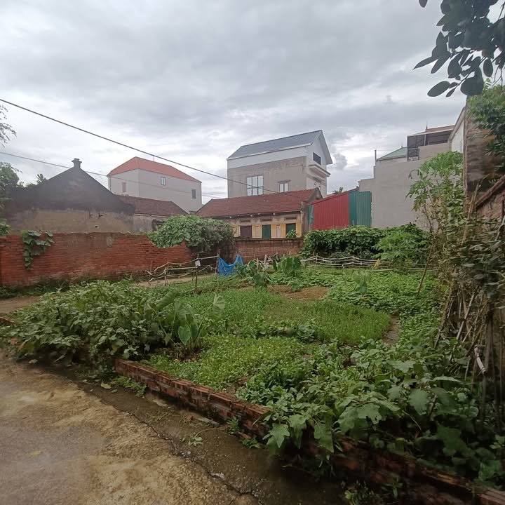 Đất nền khu phố Trà Lâm, phường Trí Quả - 77m² chỉ 1.85 tỷ - Đầu tư sinh lời!