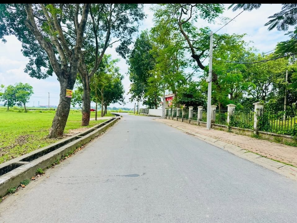 Đất nền Mai Đình Sóc Sơn 253m² - Sổ đỏ chính chủ, ô tô tránh!