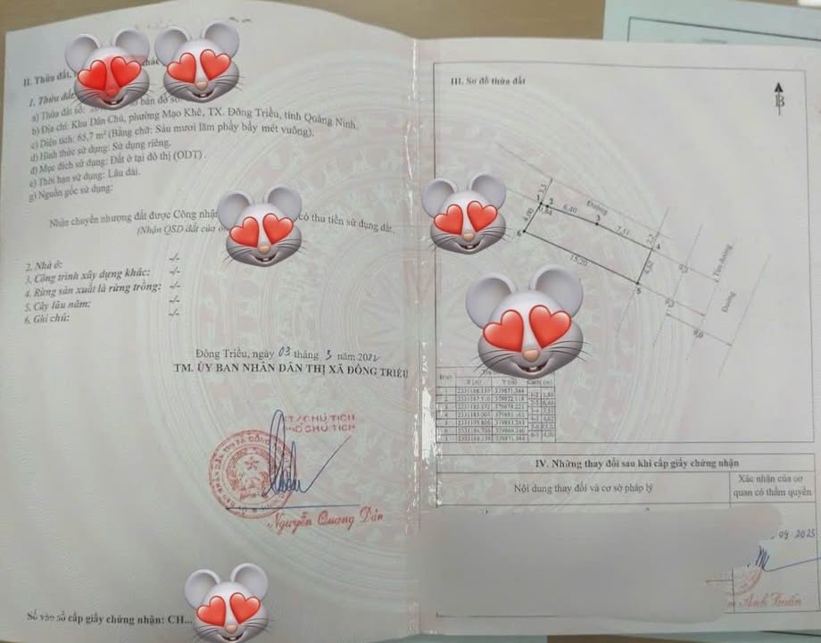 Đất nền Mạo Khê 65,7m² giá 1,4 tỷ - Vị trí đẹp, phong thủy tốt!