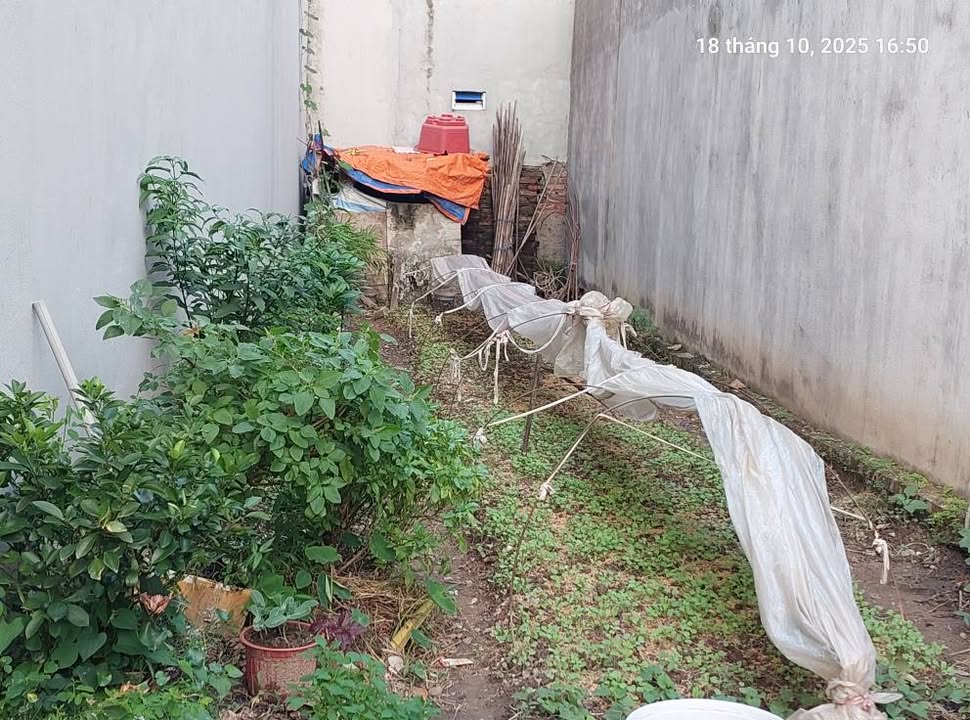 Đất Quang Minh 45m² giá 2.85 tỷ - Vị trí đẹp, ô tô vào tận nơi!