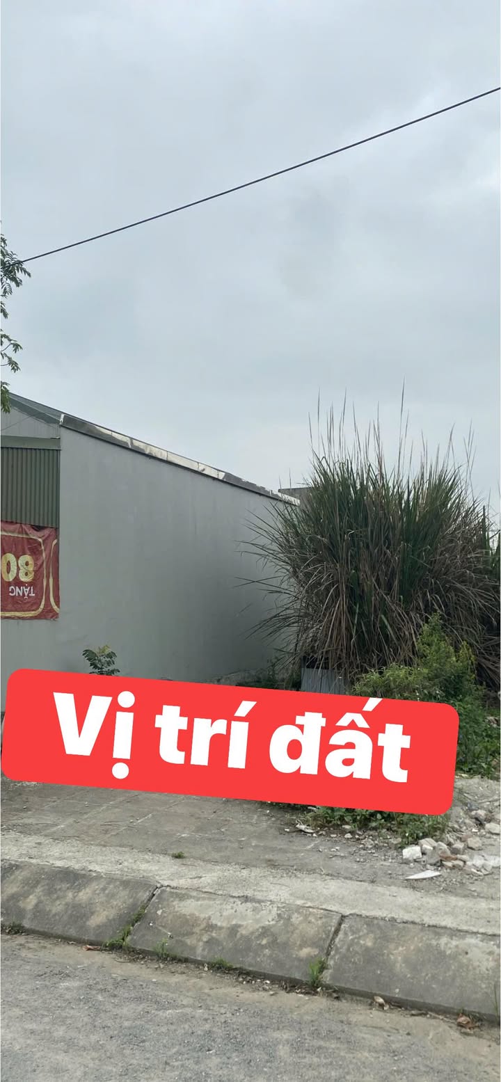 Đất nền khu phố Dương Cương, Kim Bảng, 150m² - Đường rộng, tiện ích đầy đủ!