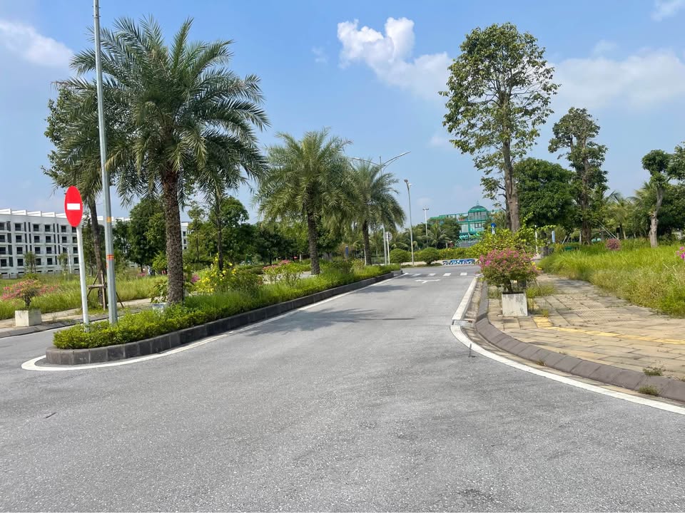 Đất nền LK2 Amdi Việt Đoàn 84m² giá 3 tỷ - Cơ hội đầu tư tiềm năng!