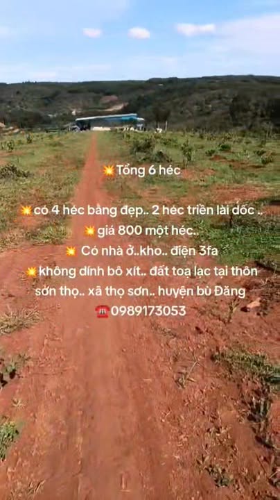 Đất Farm 6ha tại thôn Sơn Thọ, huyện Bù Đăng - Giá 8 tỷ - Cơ sở hạ tầng đầy đủ!