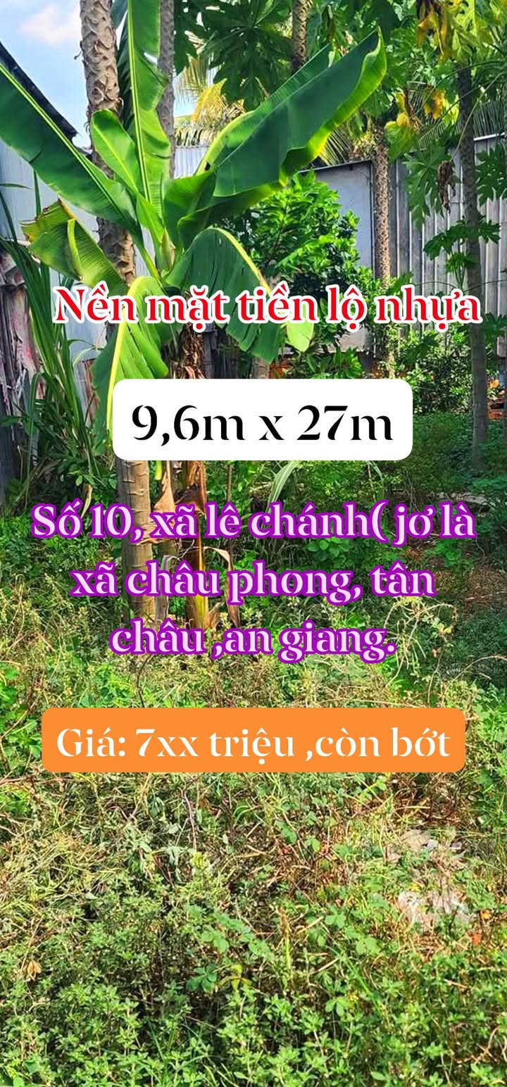 Đất nền thổ cư 259m² tại Ấp Phú Hữu 1, Tân Châu, An Giang - Giá chỉ 700 triệu!