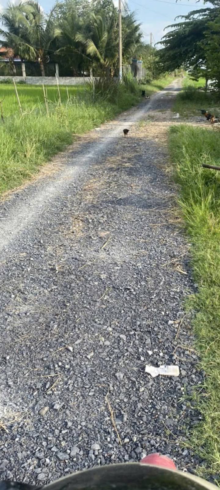 Đất nền 175m² tại Ấp Tân Hoá, Đức Hòa, Long An chỉ 1.07 tỷ - Tiềm năng đầu tư lớn!