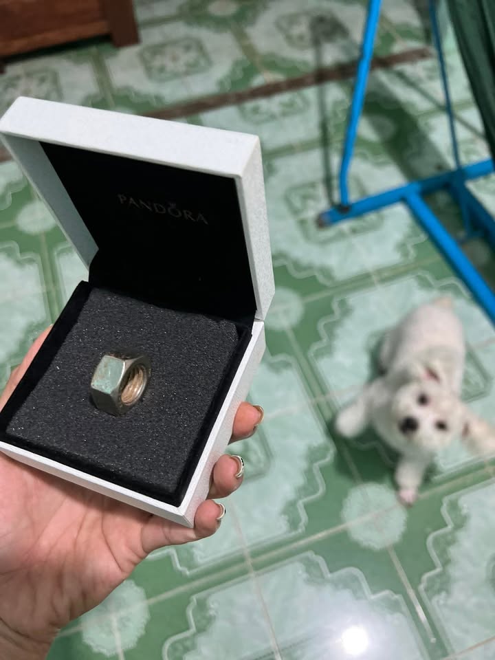 Đất nền mặt tiền Quốc lộ 14, Nghĩa Trung, 305m² - Cơ hội đầu tư tuyệt vời!