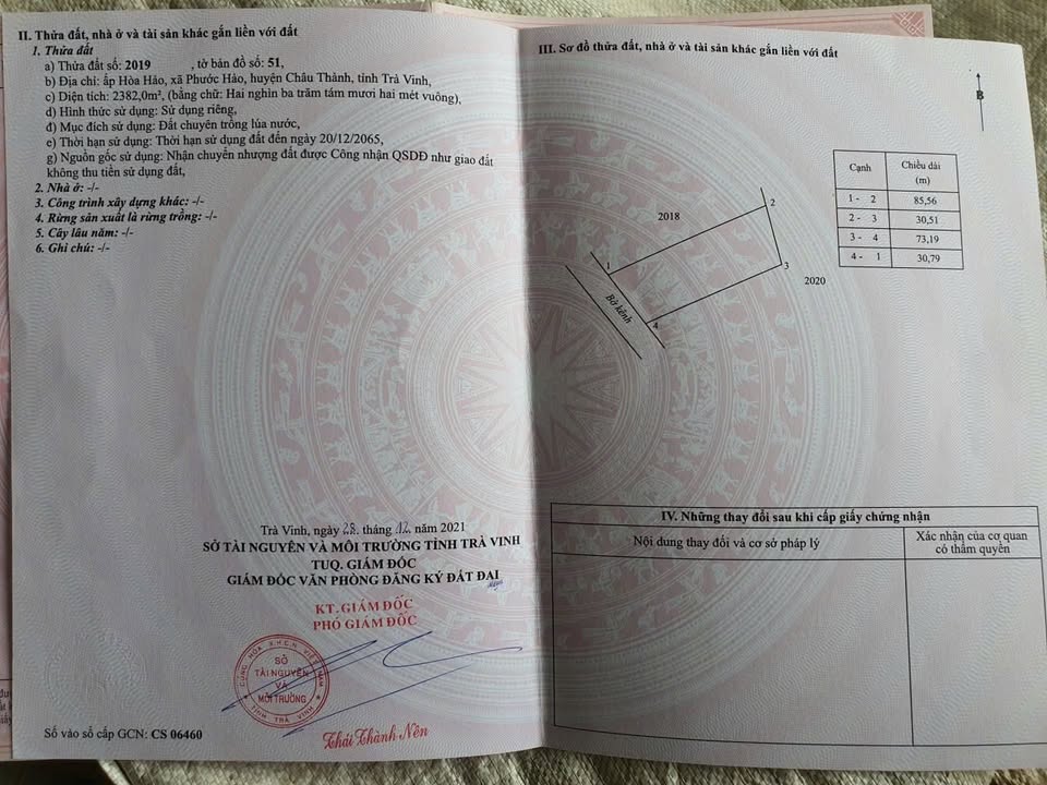 Bán vườn dừa tơ Phước Hảo, Châu Thành 5100m² - Cơ hội đầu tư tuyệt vời!