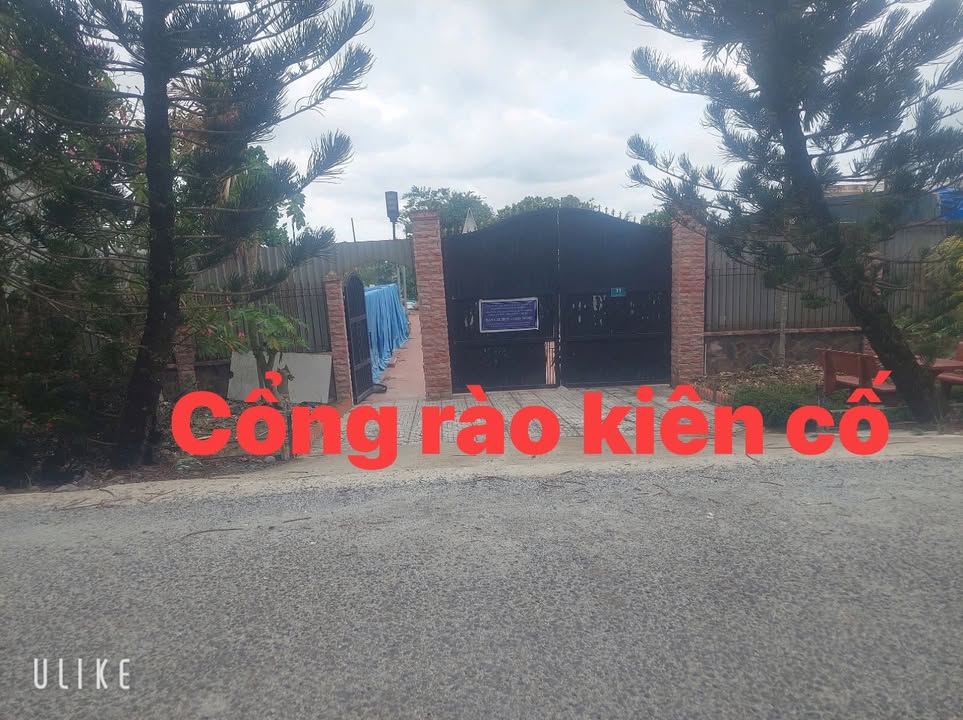 Đất vườn 2398m² tại Bình Lợi, Bình Chánh - Giá chỉ 8.393 tỷ, sẵn sàng cho đầu tư!