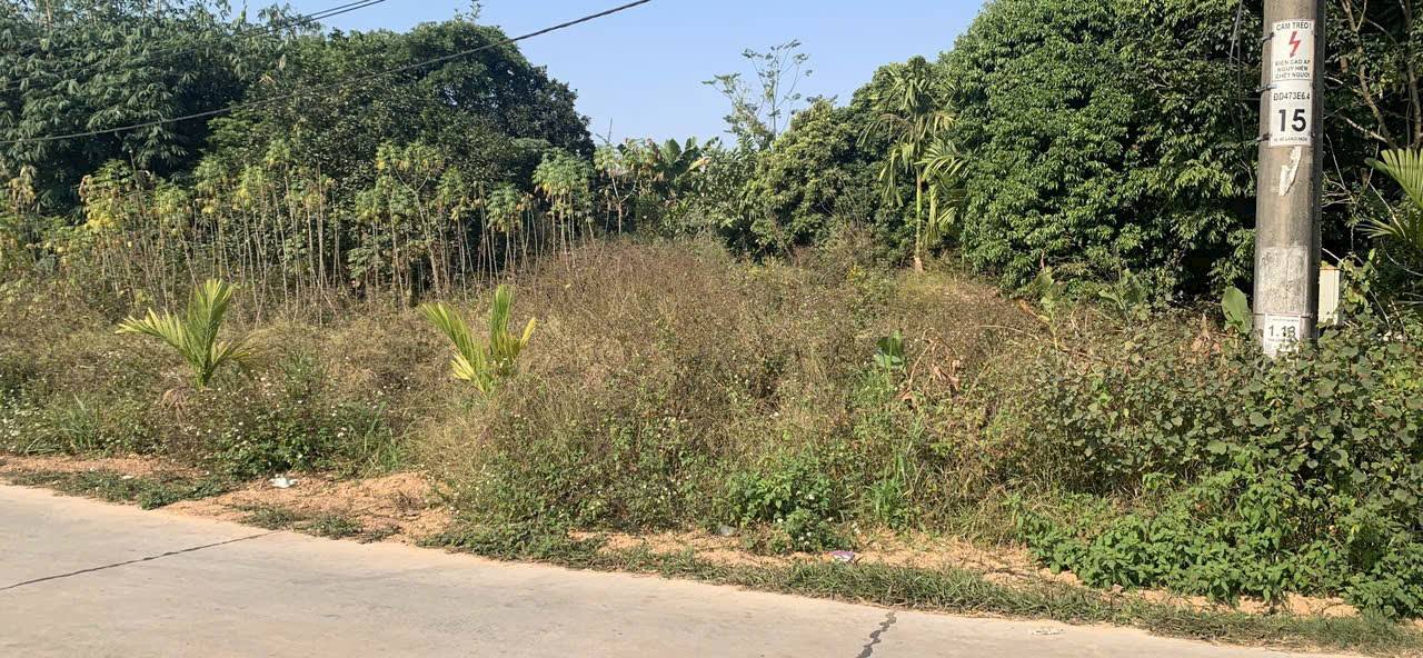 Đất Thịnh Đức Tân Cương 2300m² giá 1.7 tỷ - Đường ô tô tránh nhau!