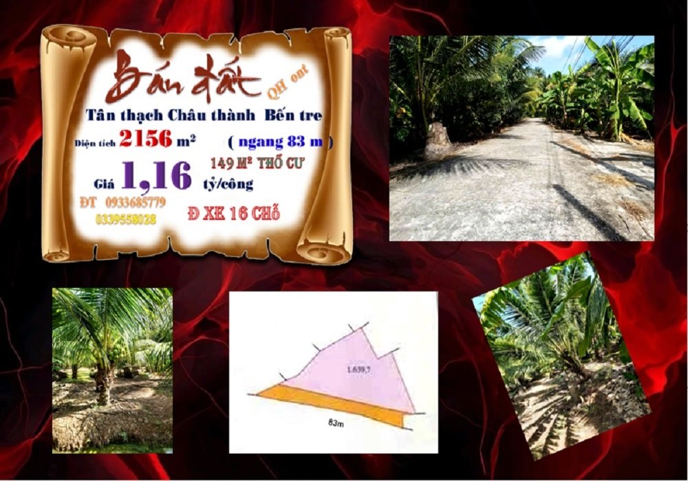 Đất nền Tân Thạch Châu Thành Bến Tre 2156m² giá 2.5 tỷ - Cơ hội đầu tư tuyệt vời!
