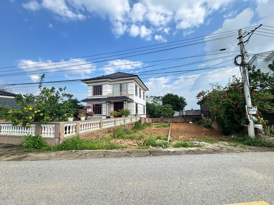 Đất mặt đường Khu 3 Thanh Đình, Việt Trì 123m² giá 1 tỷ - Vị trí kinh doanh lý tưởng!