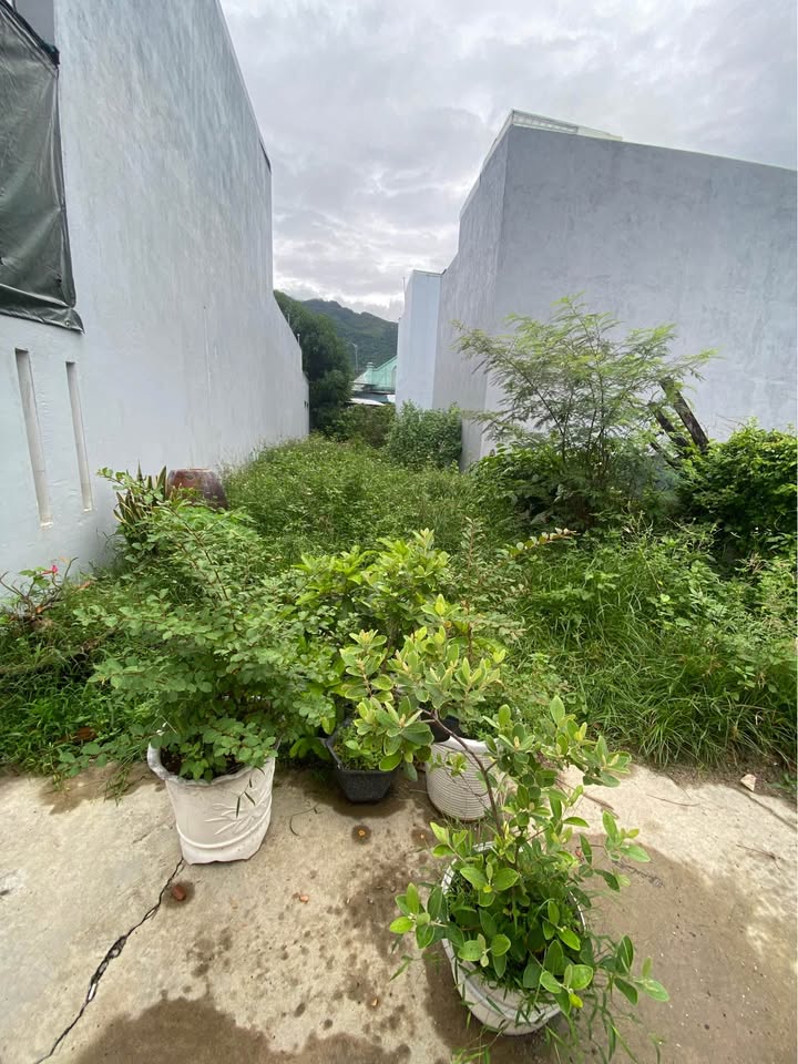 Đất nền Phước Đồng Nha Trang 125m² giá 3.1 tỷ - Cách đường Trần Sâm chỉ 20m!