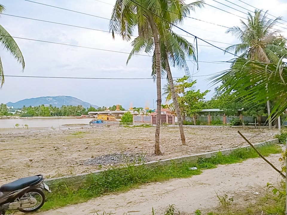 Đất mặt sông Cái Ngọc Hiệp 272m² giá chỉ 30 triệu/m² - Cơ hội đầu tư tuyệt vời!