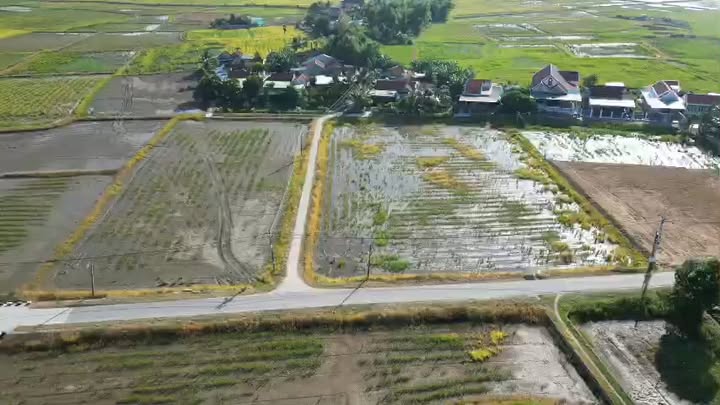 Đất thổ cư 1000m² phường Hòa Thắng, Ninh Hòa chỉ 3 tỷ - Đường bê tông, khu dân cư hiện hữu!