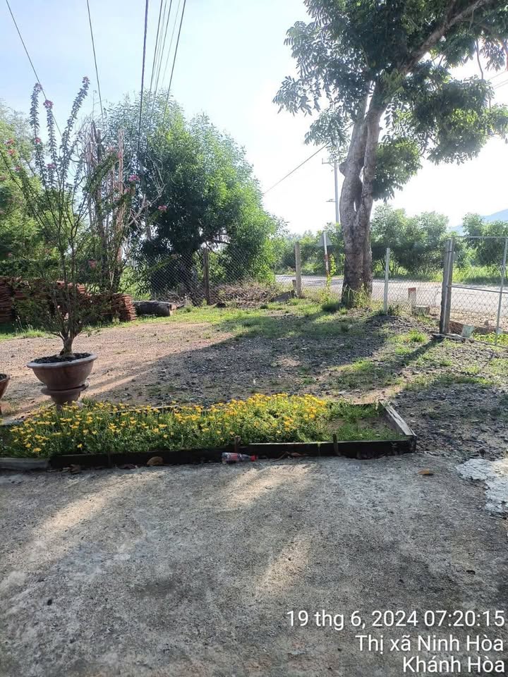 Đất nền mặt tiền ĐT8 Ninh Hòa 922m² giá 2 tỷ - Pháp lý rõ ràng, đầu tư sinh lời!