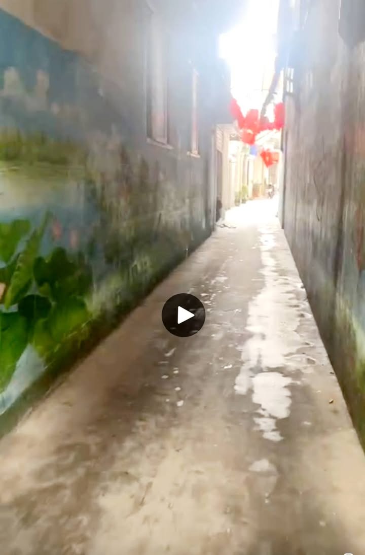 Bán nhà cấp 4 ngõ Đình Đông, Lê Chân, Hải Phòng 60m² giá chỉ 1.7 tỷ - Sổ đỏ chính chủ!