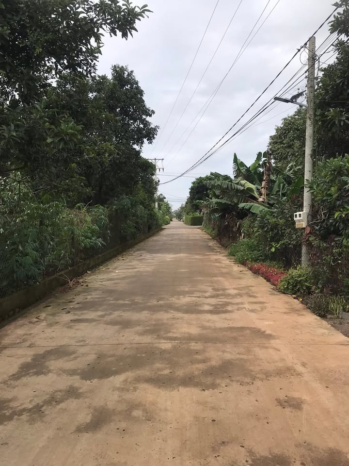 Đất nền đẹp tại Liên Hiệp, Đức Trọng 402,3m² giá 3 tỷ - Đầu tư sinh lời lý tưởng!