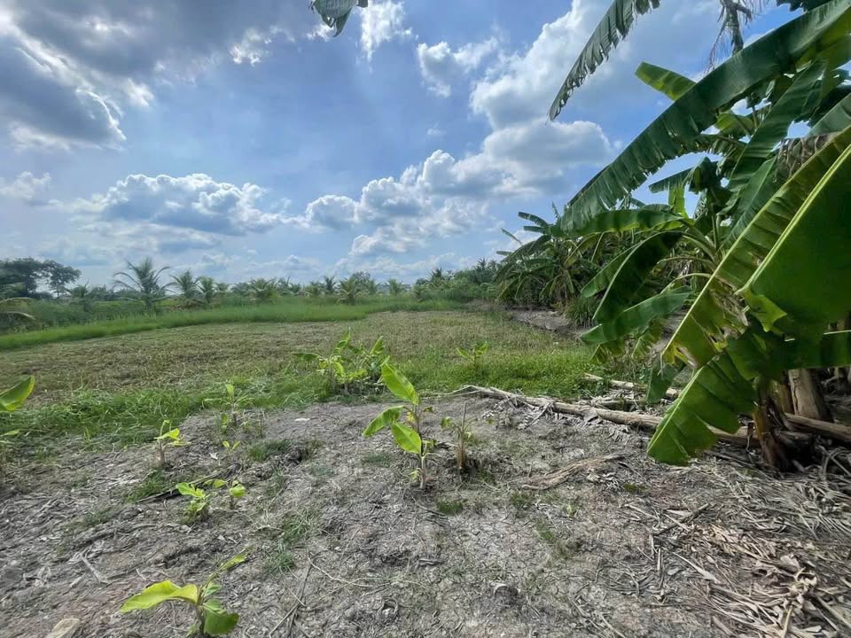 Đất mặt tiền kênh Mai, Nhơn Thạnh Trung 1.067m² giá 1.7 tỷ - Đầu tư tiềm năng!