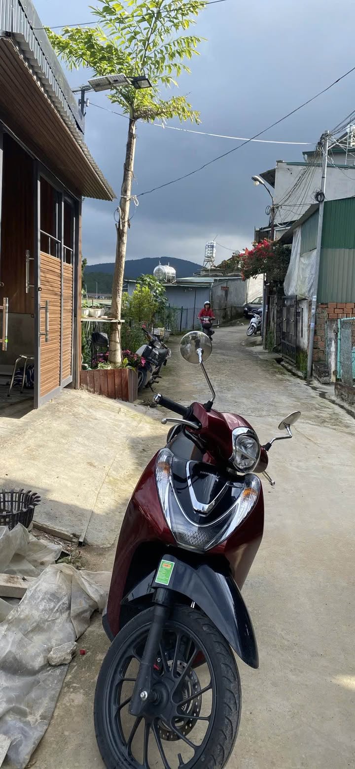 Đất nền chính chủ tại phường Xuân Hương, Đà Lạt, 115m² - Giá chỉ 1.102 tỷ!