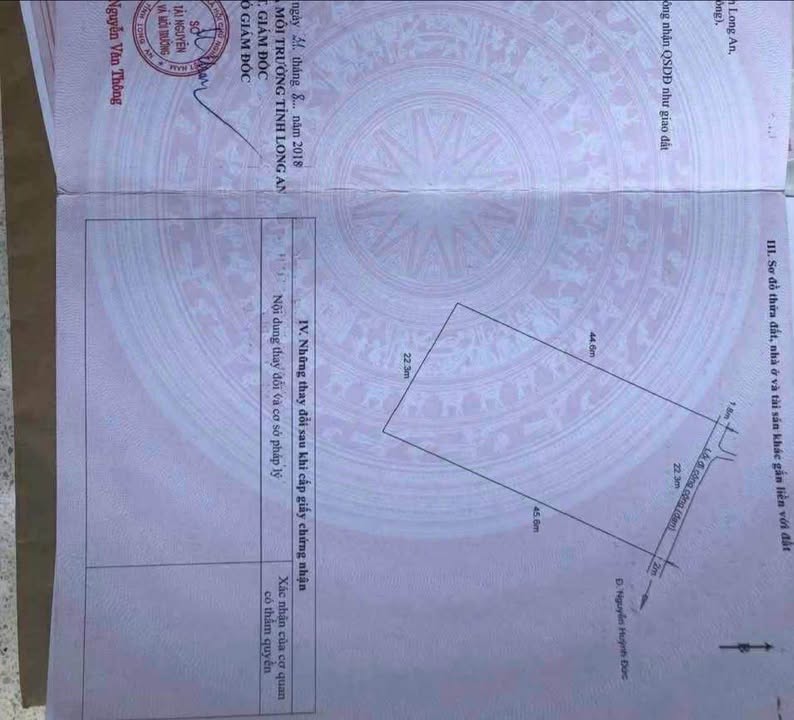 Đất lúa 1000m² tại Khánh Hậu, Tân An - Giá chỉ 1.1 tỷ VND