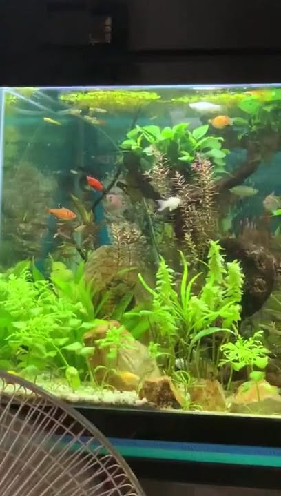 Nhà hẻm Tây Sơn, Quang Trung, 57m² giá 2.1 tỷ - Sổ đỏ chính chủ, thương lượng!