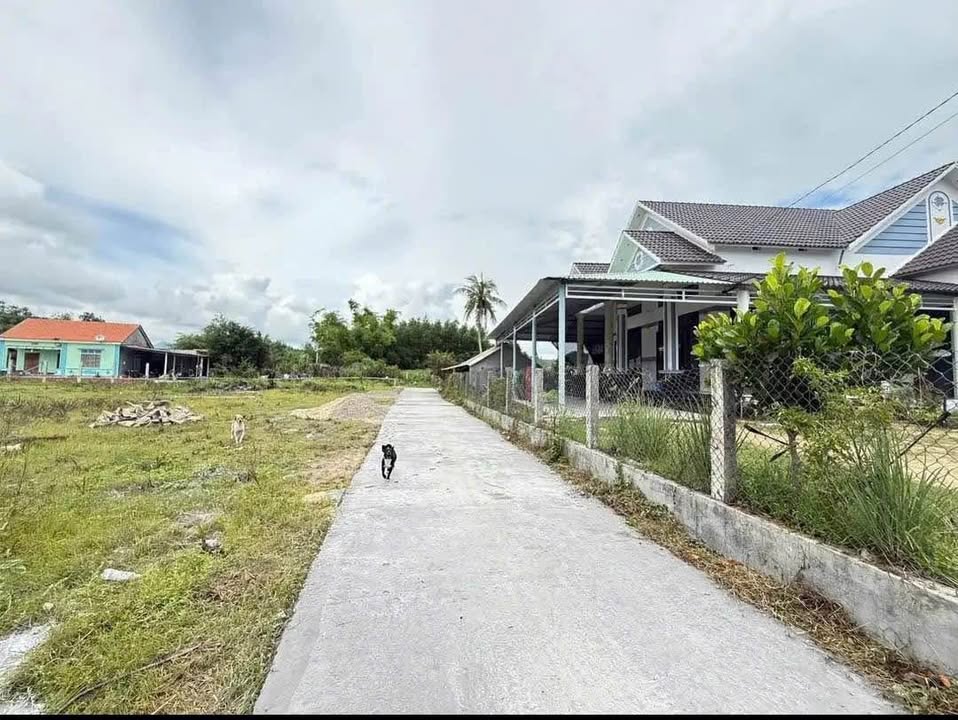 Đất thổ cư 110m² xã Mỹ Tài, giá chỉ 165 triệu - Cơ hội hiếm có!