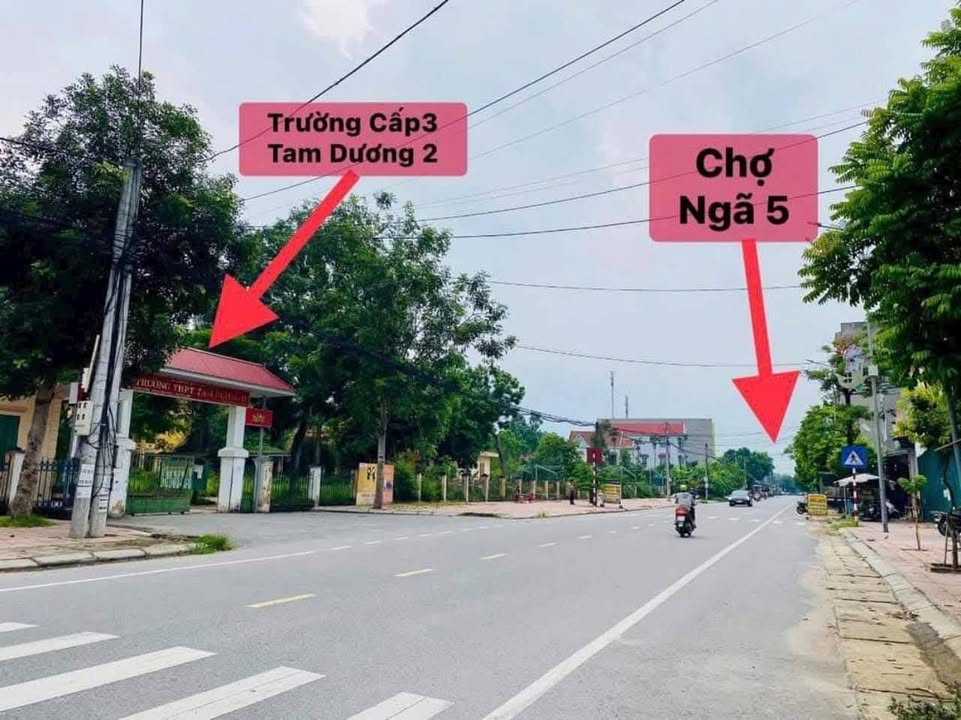 Nhà cấp 4 Duy Phiên Tam Dương 100m² giá 4 tỷ - Kinh doanh thuận lợi!