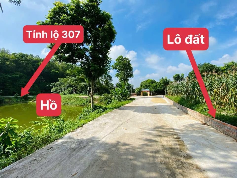 Đất nền Liễn Sơn 125m² giá 1.1 tỷ - Cơ hội đầu tư tuyệt vời!