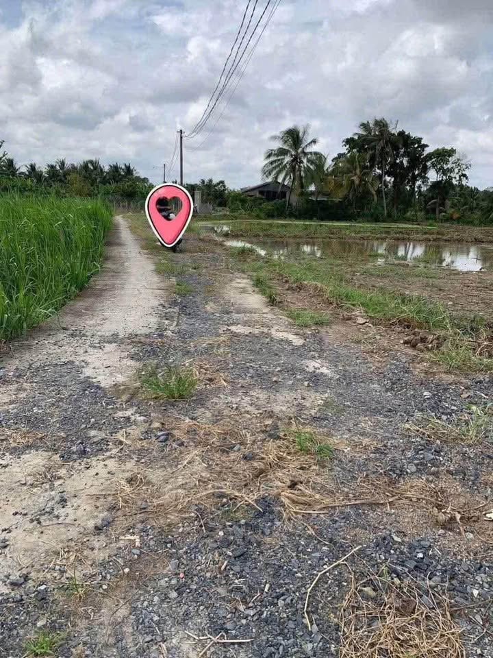 Đất thổ cư liền kề tại xã Bình Tâm, Tân An - Giá từ 660 triệu, cơ hội đầu tư tuyệt vời!