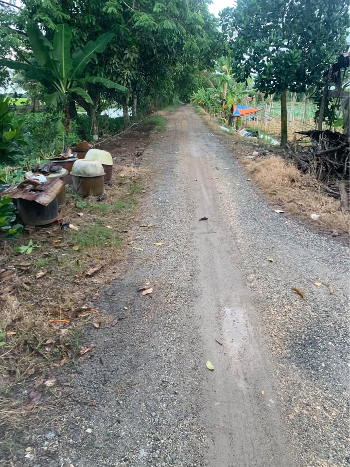 Đất vườn 30.000m² mặt tiền Kinh 4 xuất khẩu, giá 1.05 tỷ - Cơ hội đầu tư hấp dẫn!