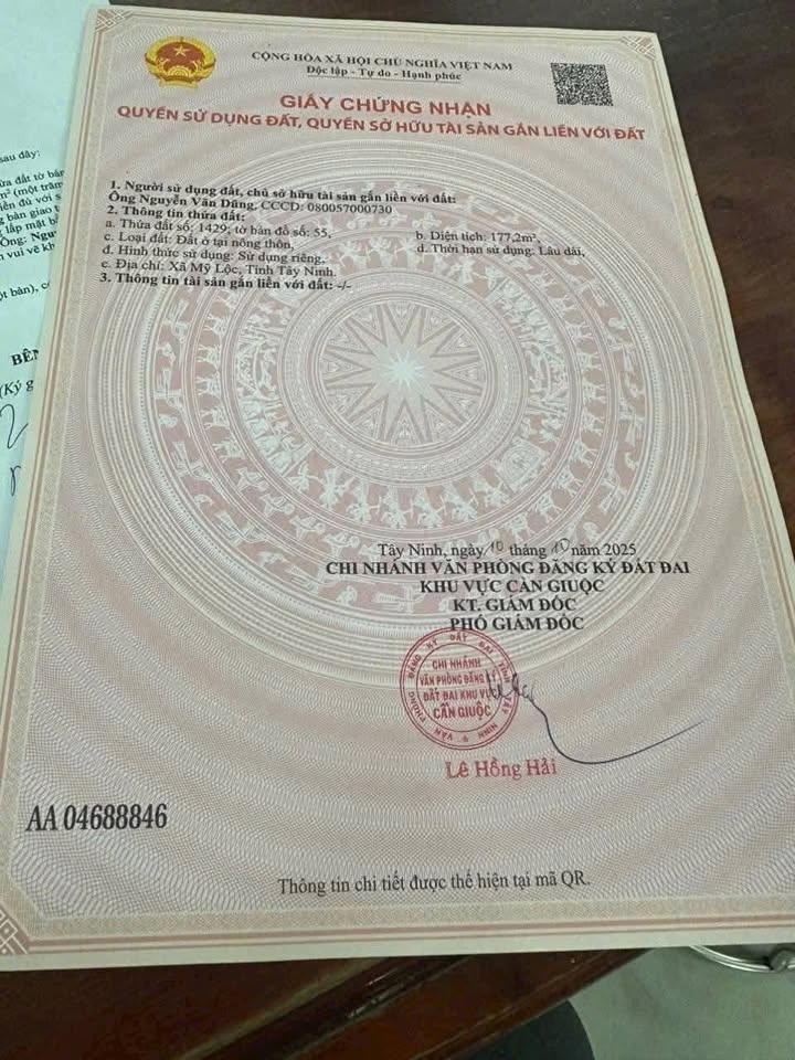 Đất nền mặt tiền xe tải xã Mỹ Lộc, Cần Giuộc 177m² giá 900 triệu - Sổ hồng chính chủ!