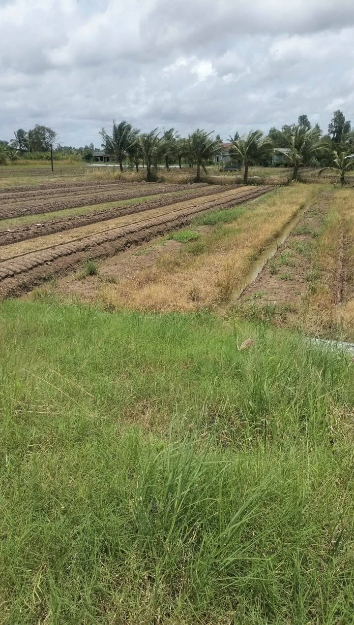 Đất nền xã Lý Văn Lâm 517m² giá 3.3 tỷ - Sở hữu view sông tuyệt đẹp!