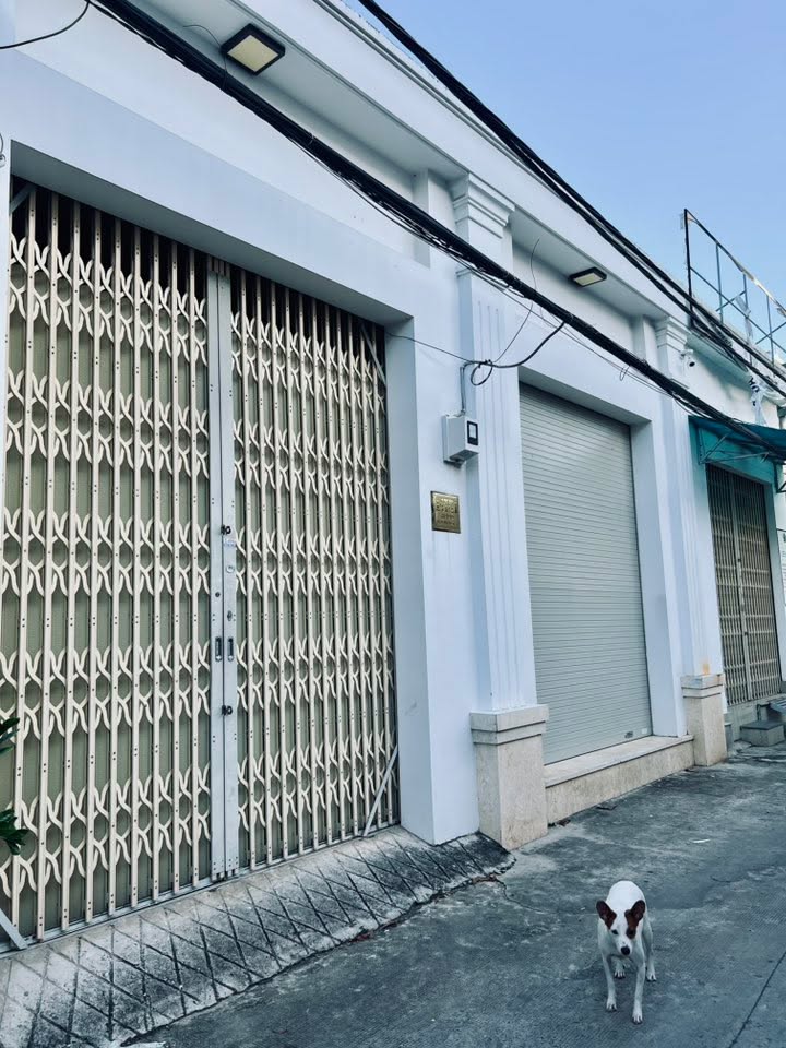 Nhà cấp 4 Quận 7 208m² giá 10 tỷ - Đang cho thuê công ty!