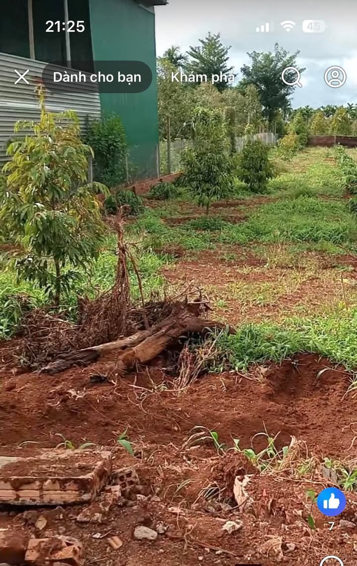 Đất thổ cư Pơng Drang 429m² giá 1.3 tỷ - Gần quốc lộ 14 chỉ 250m!