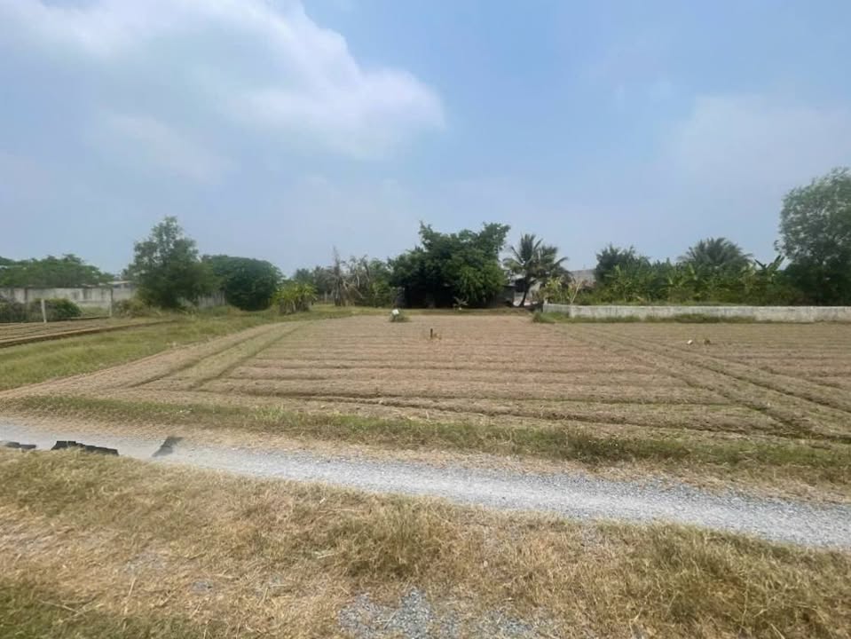 Đất thổ cư ấp Giồng Lớn, Đức Hòa 118m² giá 1.15 tỷ - Đầu tư sinh lời ngay!