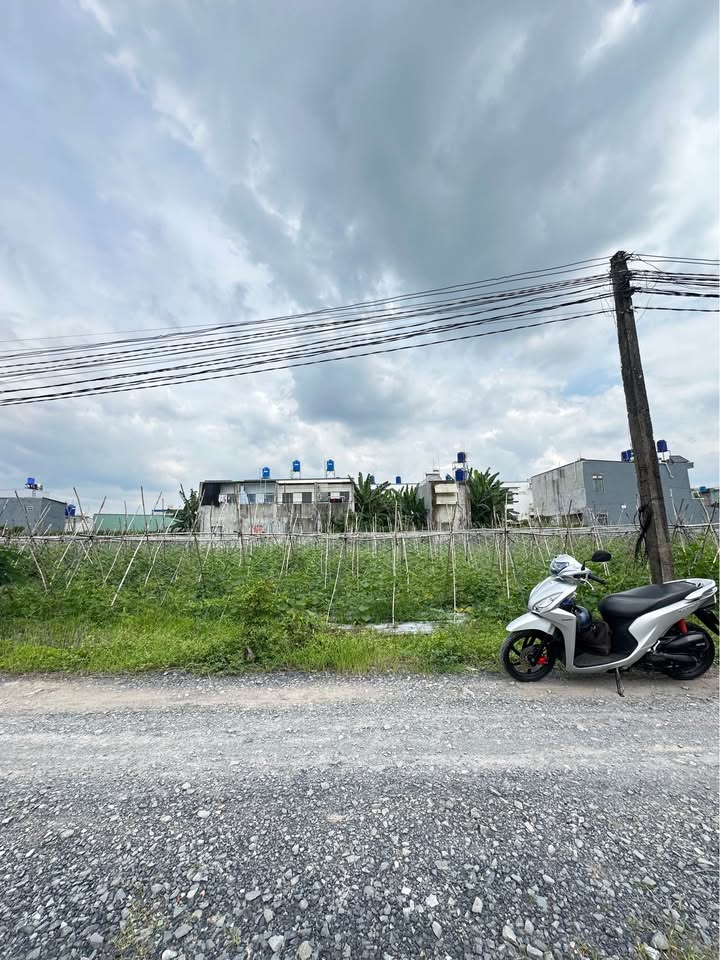 Đất nền Mỹ Hạnh Nam 725m² giá 6.463 tỷ - Pháp lý rõ ràng, tiện ích đầy đủ!