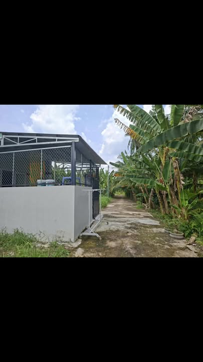 Đất nền phường An Hội, Vĩnh Long 84m² giá chỉ 460 triệu - Sổ đỏ chính chủ!