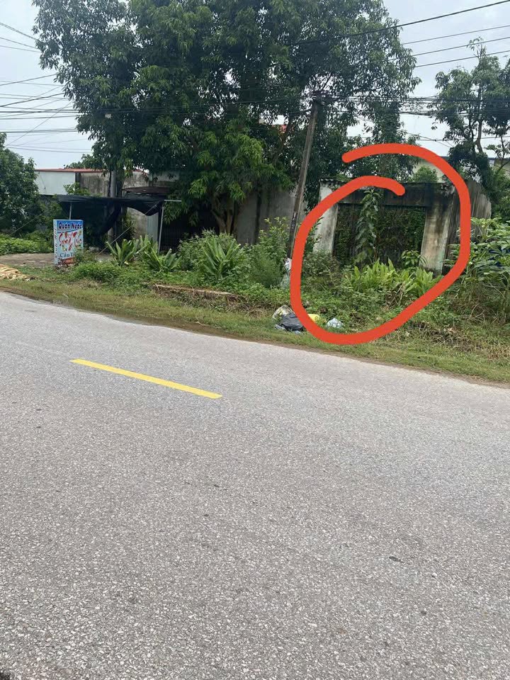 Căn hộ Cc Bảo Đài Lục Nam 102m² giá 2 tỷ - Mặt đường tỉnh 295, đầu tư sinh lời!