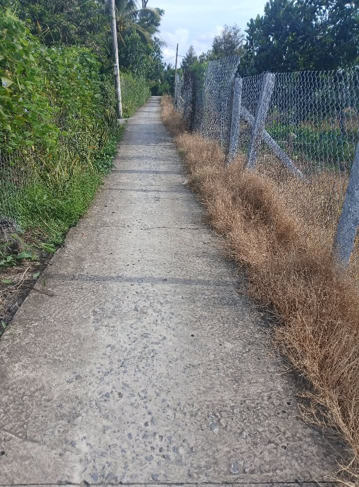 Đất Hòa Khánh Cái Bè 430m² giá 620 triệu - Đầu tư sinh lời ngay!