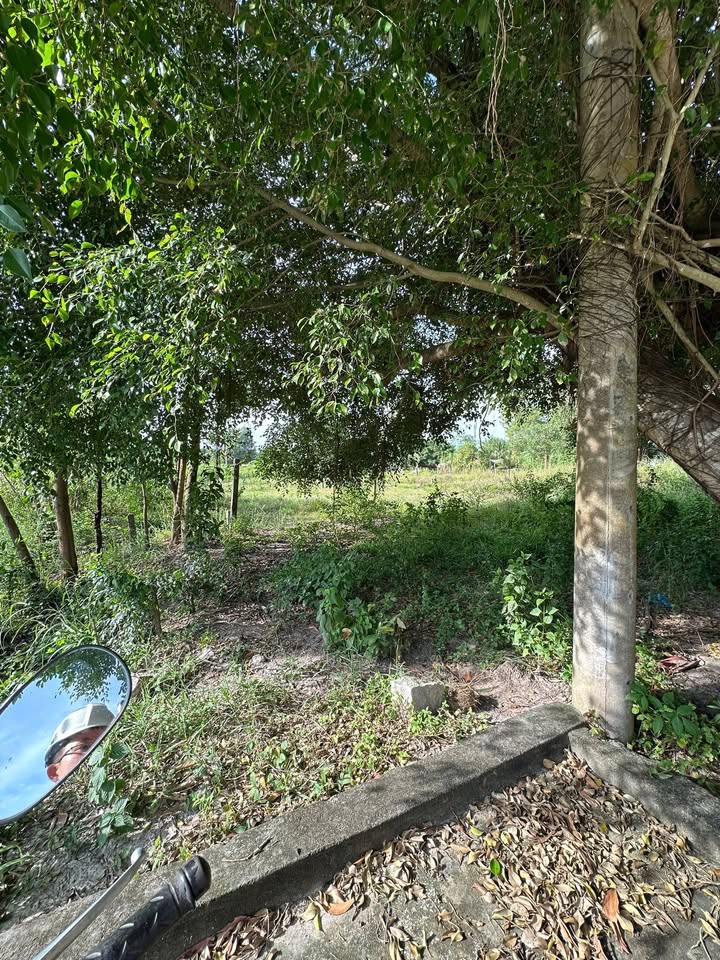 Đất Mặt Tiền Đường Cù Chính Lan 600m² giá thỏa thuận - Đầu tư sinh lời ngay!